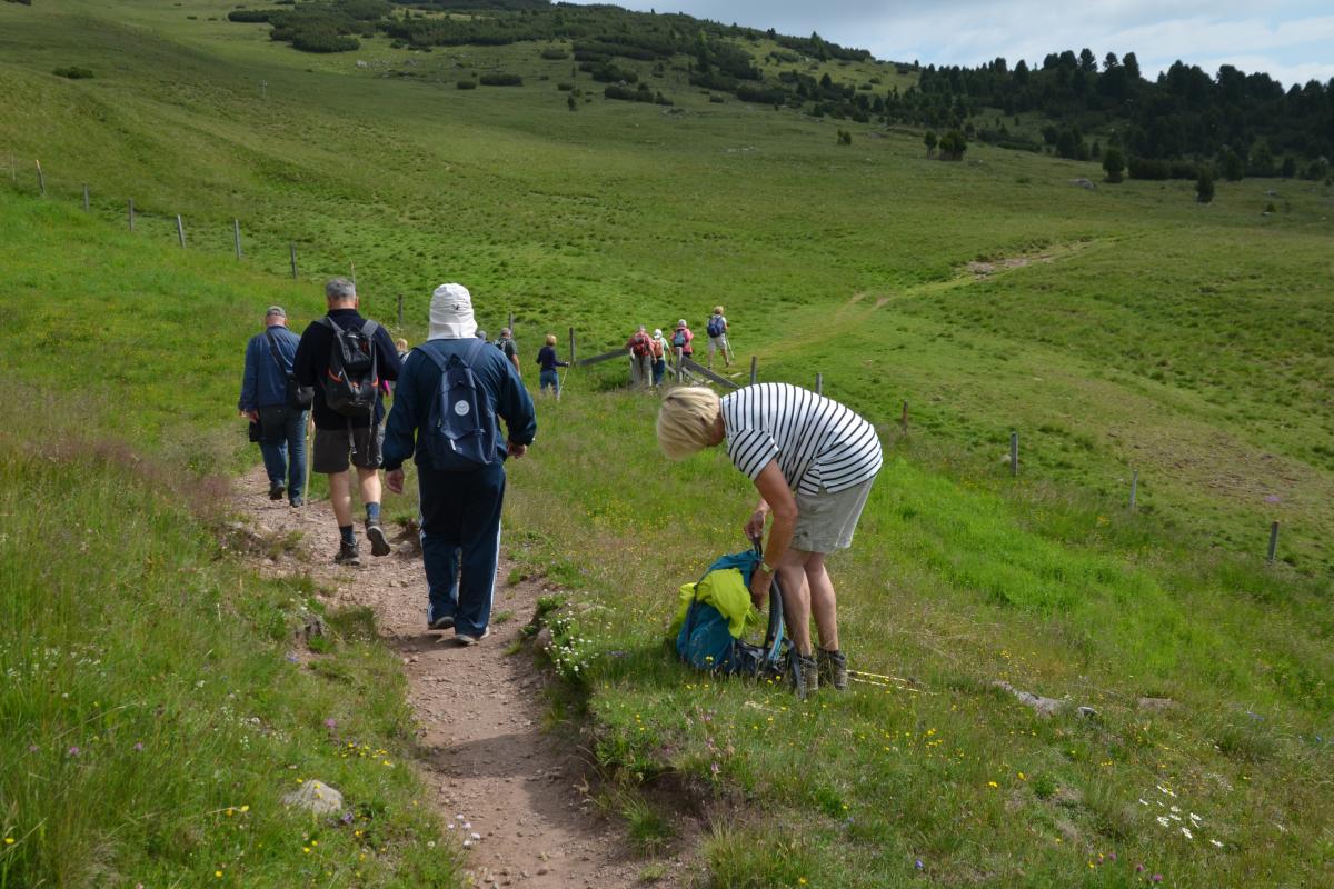 Latschenoelbrennerei und Platzer Alm 09.07.2019